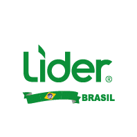 Lider